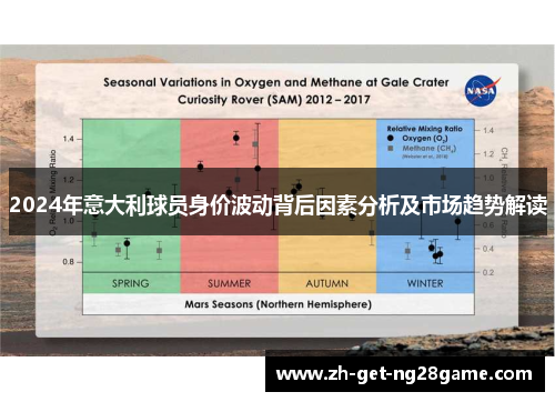 2024年意大利球员身价波动背后因素分析及市场趋势解读