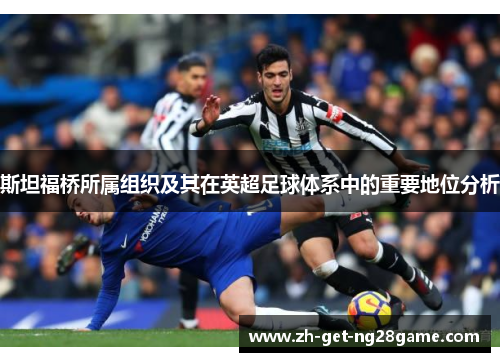 斯坦福桥所属组织及其在英超足球体系中的重要地位分析