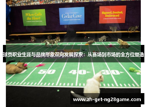 球员职业生涯与品牌形象双向发展探索：从赛场到市场的全方位塑造