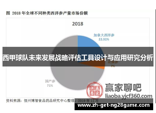 西甲球队未来发展战略评估工具设计与应用研究分析